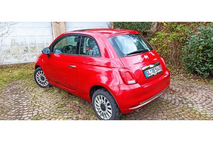 Fiat 500 Gebrauchtwagen