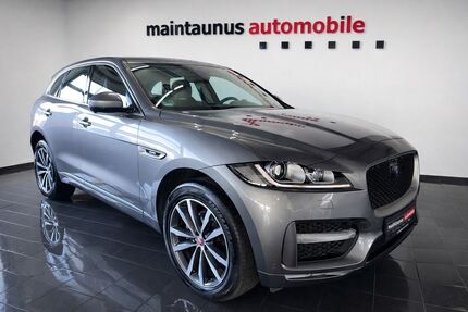 Jaguar F-Pace Gebrauchtwagen