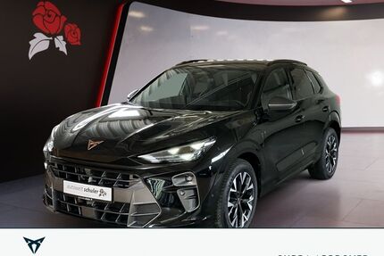Cupra Terramar Gebrauchtwagen