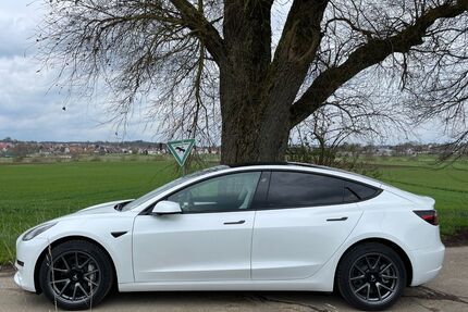 Tesla Model 3 Gebrauchtwagen