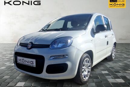 Fiat Panda Gebrauchtwagen