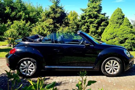 VW Beetle Gebrauchtwagen
