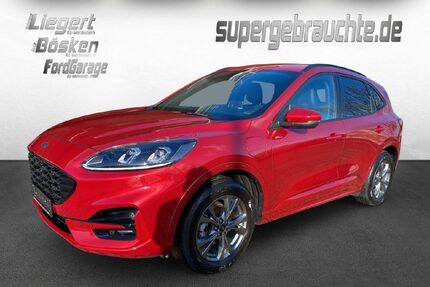 Ford Kuga Gebrauchtwagen