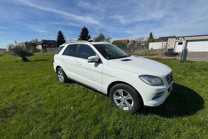 Mercedes-Benz ML 250 Gebrauchtwagen