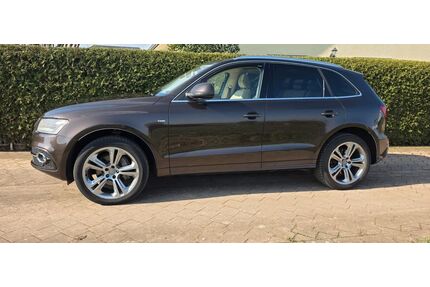 Audi Q5 Gebrauchtwagen
