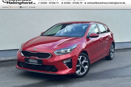 Kia ceed / Ceed Gebrauchtwagen