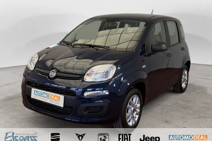 Fiat Panda Gebrauchtwagen