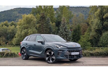 Cupra Terramar Gebrauchtwagen
