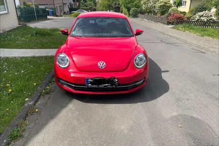 VW Beetle Gebrauchtwagen