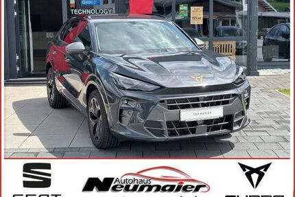 Cupra Terramar Gebrauchtwagen