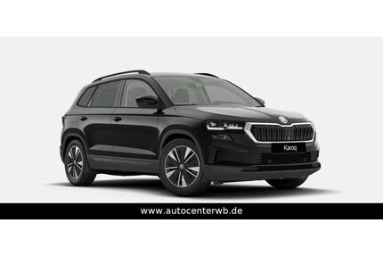 Skoda Karoq Gebrauchtwagen