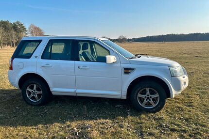 Land Rover Freelander Gebrauchtwagen