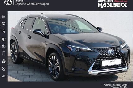 Lexus UX Gebrauchtwagen
