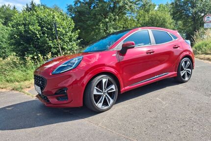 Ford Puma Gebrauchtwagen