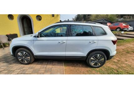 Skoda Karoq Gebrauchtwagen