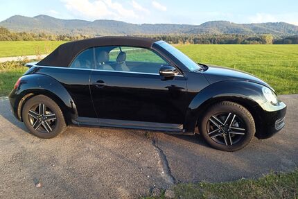 VW Beetle Gebrauchtwagen