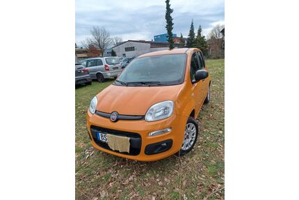 Fiat New Panda Gebrauchtwagen