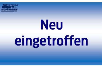 Ford Edge Gebrauchtwagen