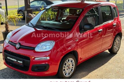 Fiat Panda Gebrauchtwagen