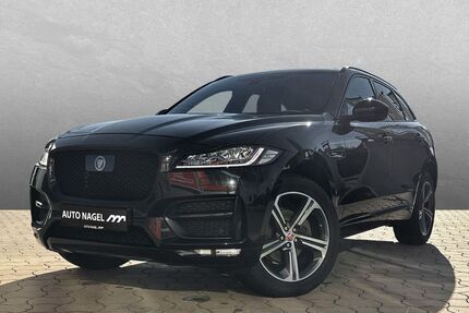 Jaguar F-Pace Gebrauchtwagen