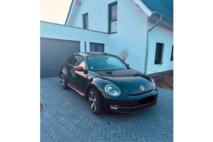 VW Beetle Gebrauchtwagen