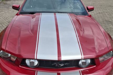 Ford Mustang Gebrauchtwagen