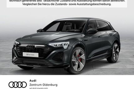 Audi Q8 e-tron Gebrauchtwagen