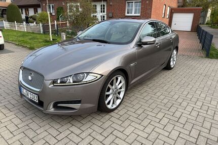 Jaguar XF Gebrauchtwagen