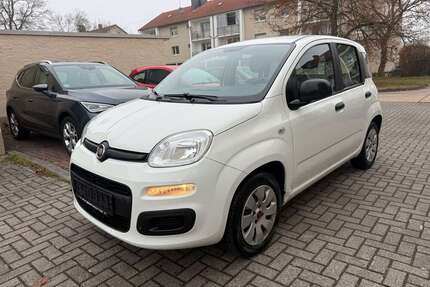 Fiat New Panda Gebrauchtwagen
