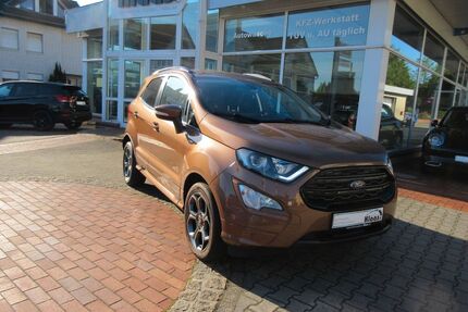 Ford EcoSport Gebrauchtwagen