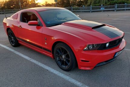 Ford Mustang Gebrauchtwagen