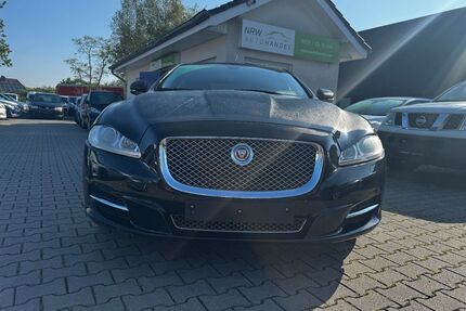 Jaguar XJ Gebrauchtwagen