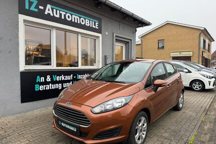 Ford Fiesta Gebrauchtwagen