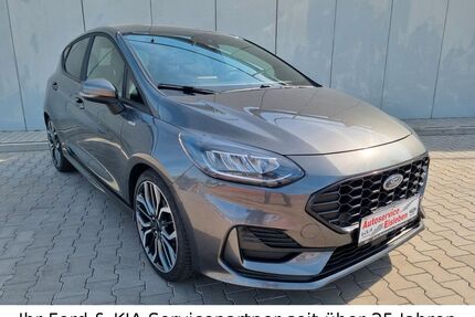 Ford Fiesta Gebrauchtwagen