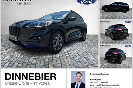 Ford Kuga Gebrauchtwagen