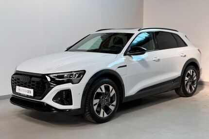 Audi Q8 e-tron Gebrauchtwagen