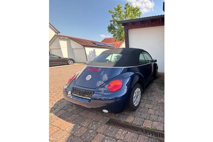 VW Beetle Gebrauchtwagen
