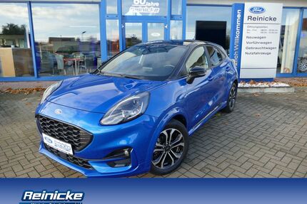 Ford Puma Gebrauchtwagen