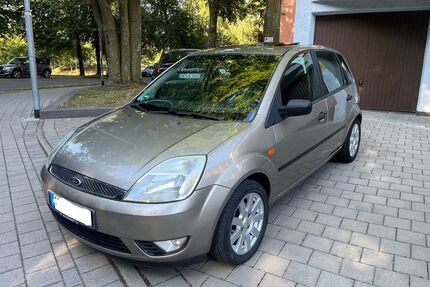 Ford Fiesta Gebrauchtwagen