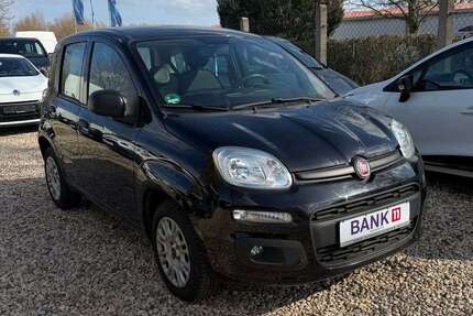 Fiat Panda Gebrauchtwagen