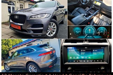 Jaguar F-Pace Gebrauchtwagen