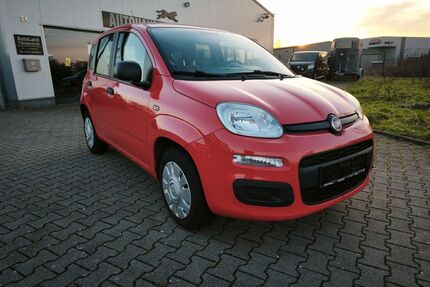 Fiat Panda Gebrauchtwagen