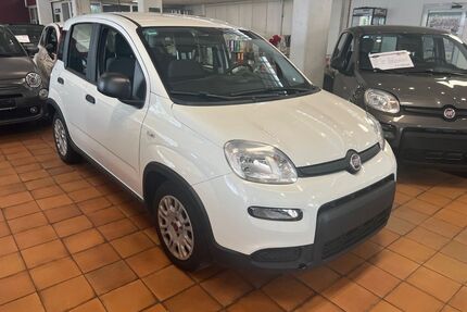 Fiat Panda Gebrauchtwagen