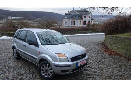 Ford Fusion Gebrauchtwagen