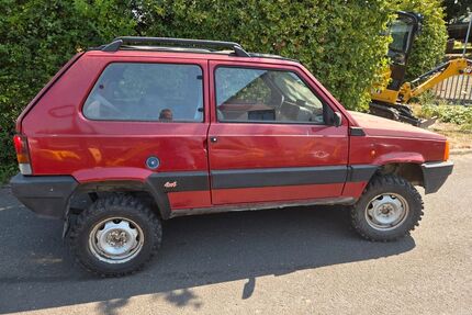 Fiat Panda Gebrauchtwagen