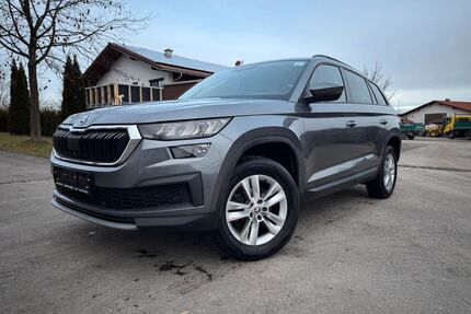 Skoda Kodiaq Gebrauchtwagen