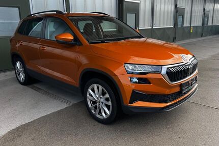Skoda Karoq Gebrauchtwagen