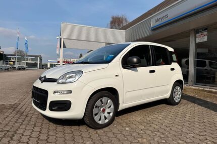 Fiat New Panda Gebrauchtwagen