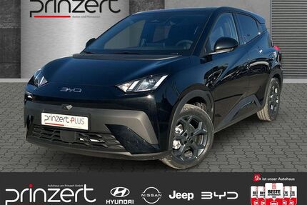 BYD DOLPHIN Gebrauchtwagen