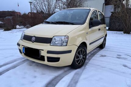 Fiat Panda Gebrauchtwagen